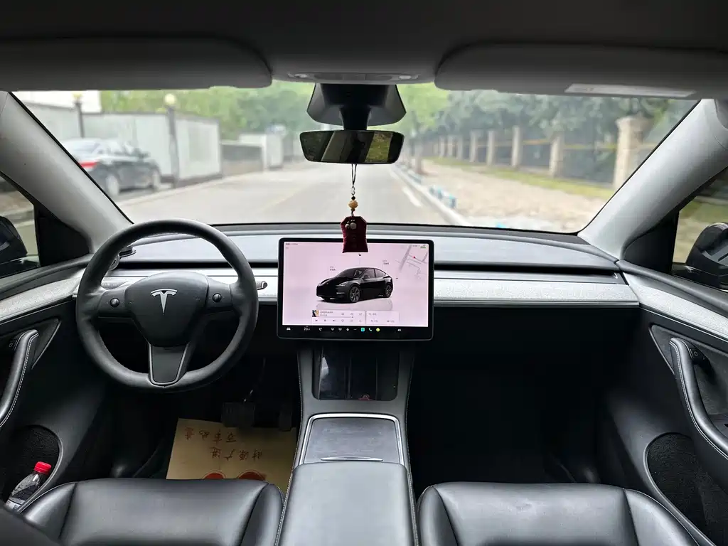 Tesla Model Y — миниатюра 7