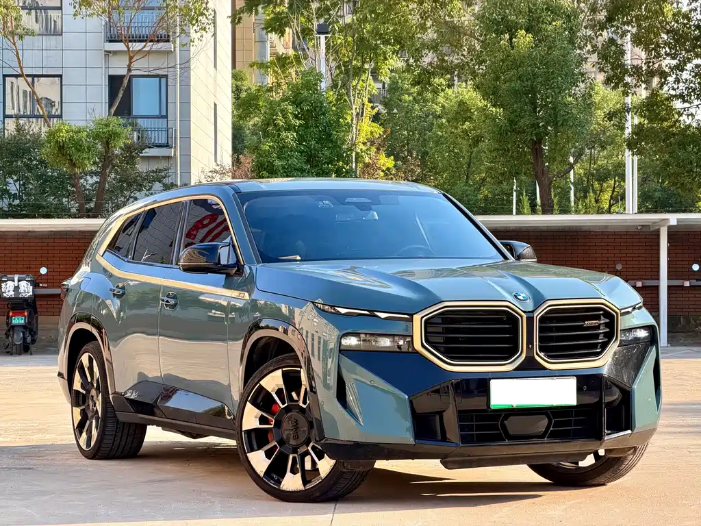 BMW XM — миниатюра 3