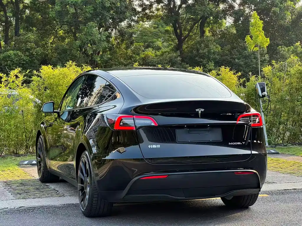 Tesla Model Y — миниатюра 4