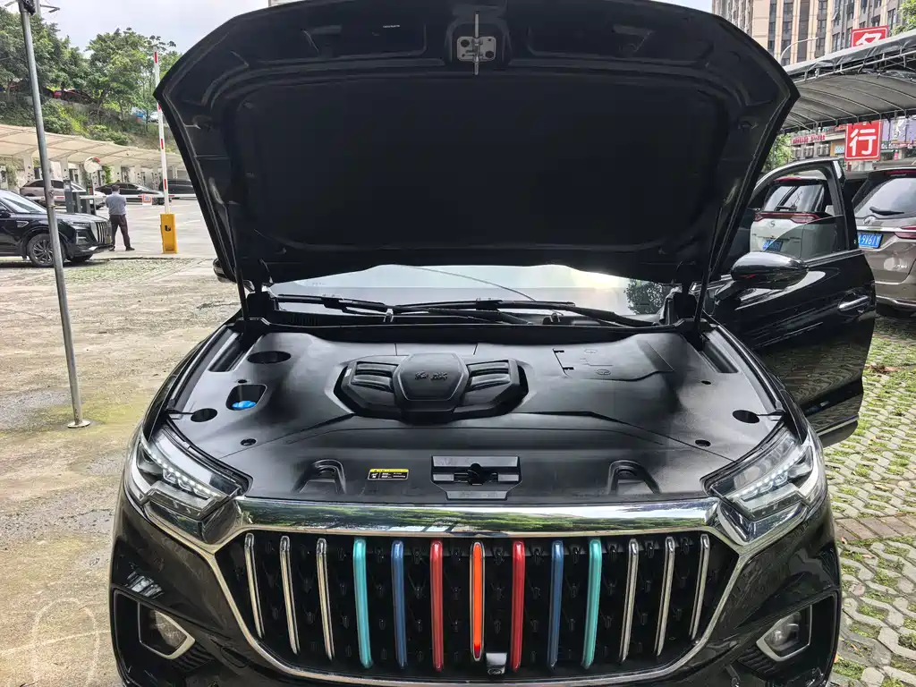 Hongqi HS5 2.0T Connected Flagship Enjoy Edition, фото 16