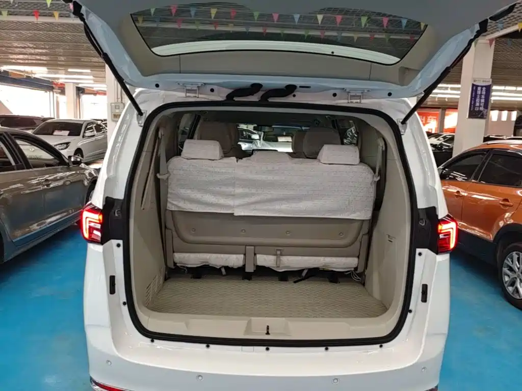 Buick GL8 — миниатюра 19