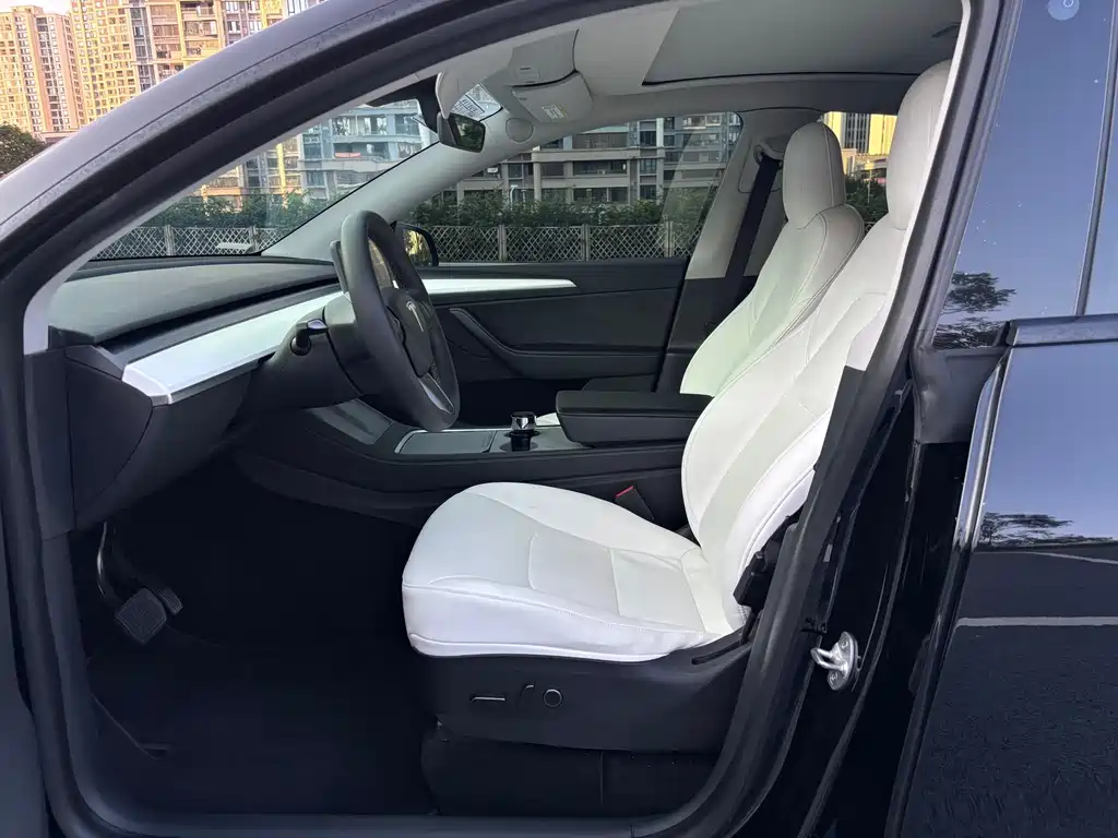 Tesla Model Y — миниатюра 4