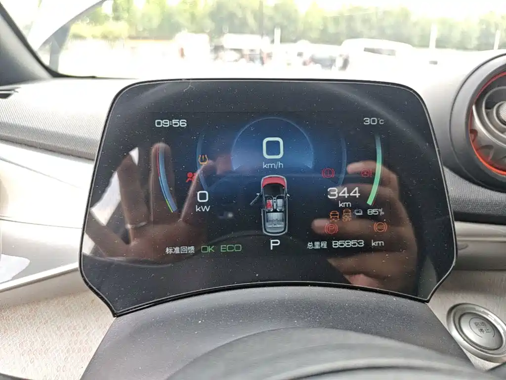 BYD Dolphin 2021 405km Freedom