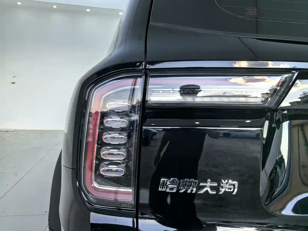 Haval Big Dog — миниатюра 14