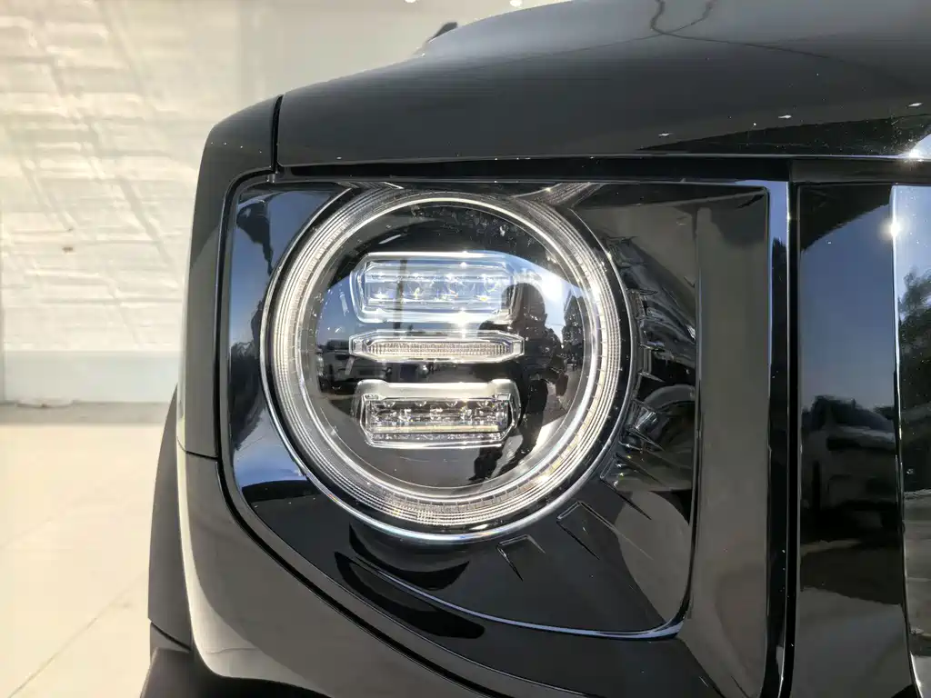 Haval Big Dog — миниатюра 15
