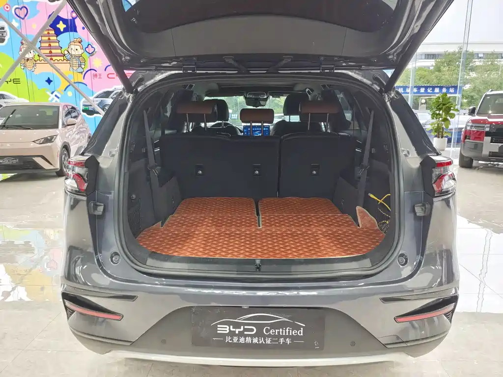 BYD Tang New Energy — миниатюра 16