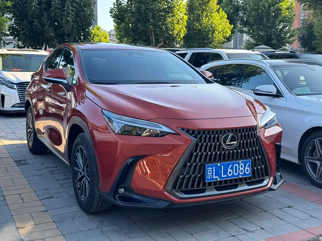 Lexus NX — миниатюра 3