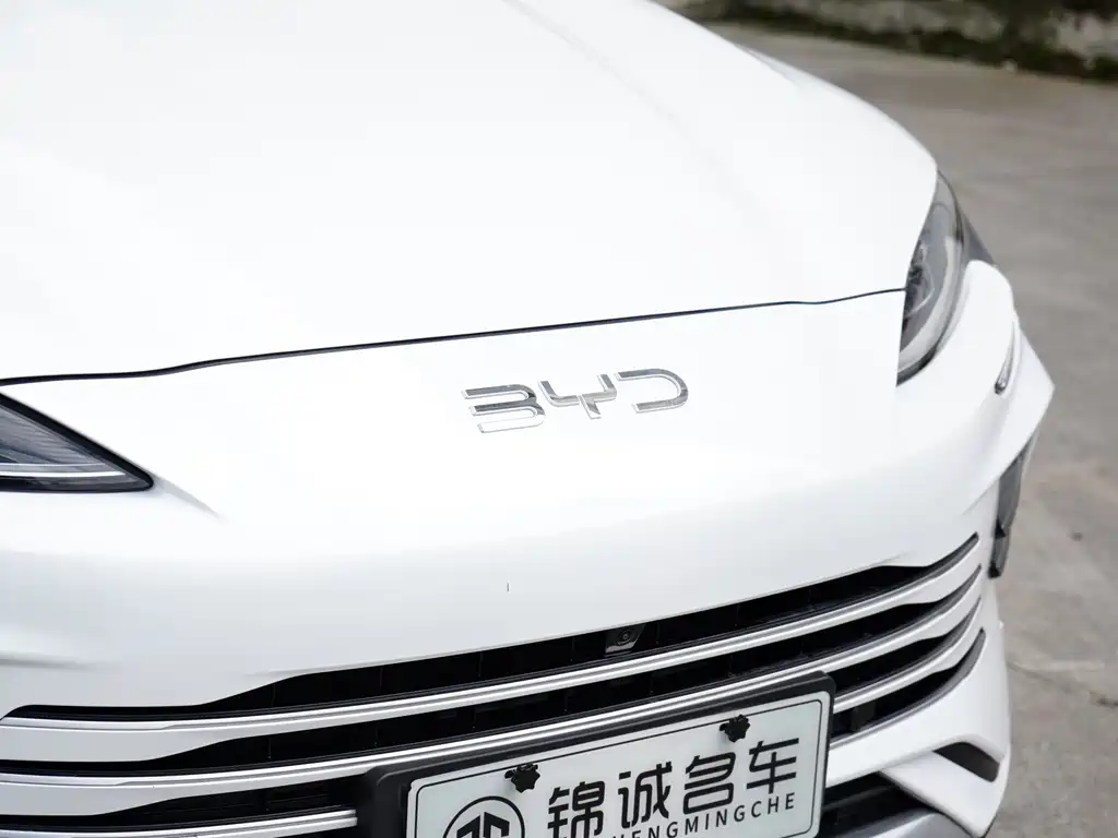BYD PLUS New Energy — миниатюра 11