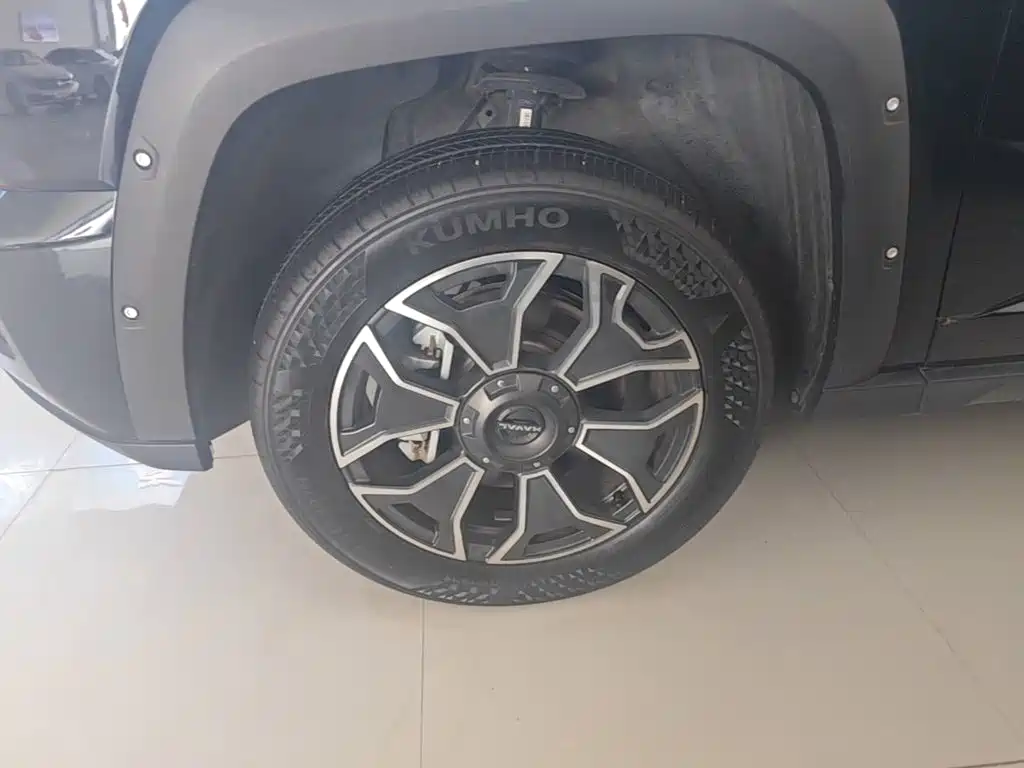 Haval Big Dog PLUS New Energy — миниатюра 23