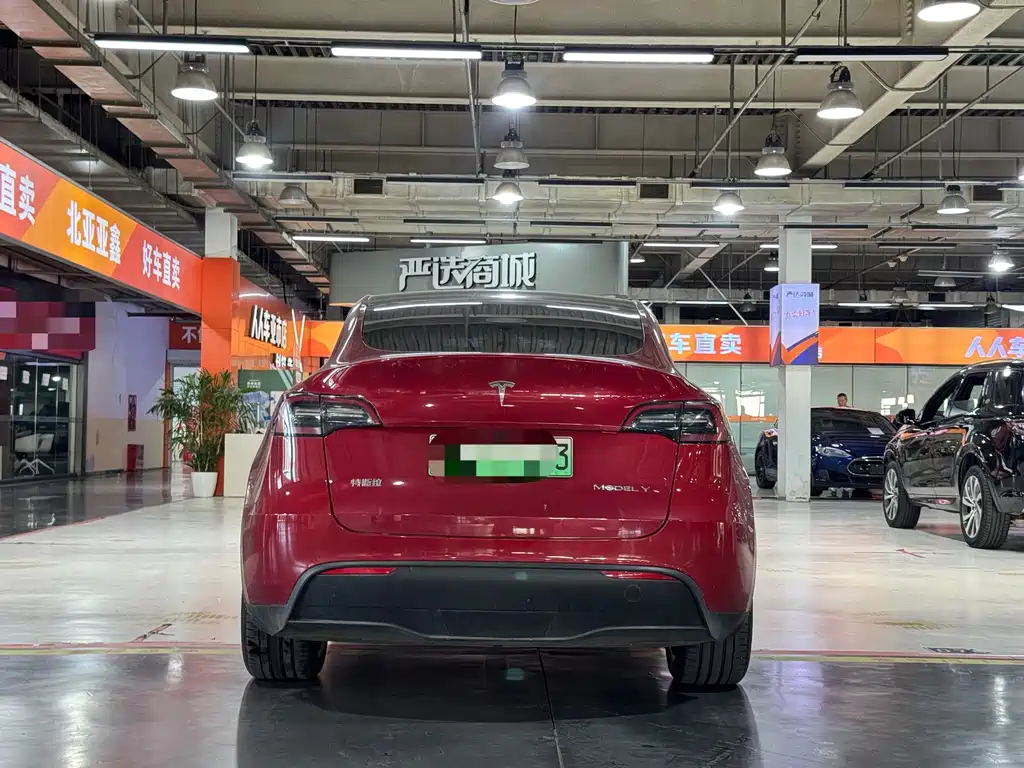 Tesla Model Y — миниатюра 4