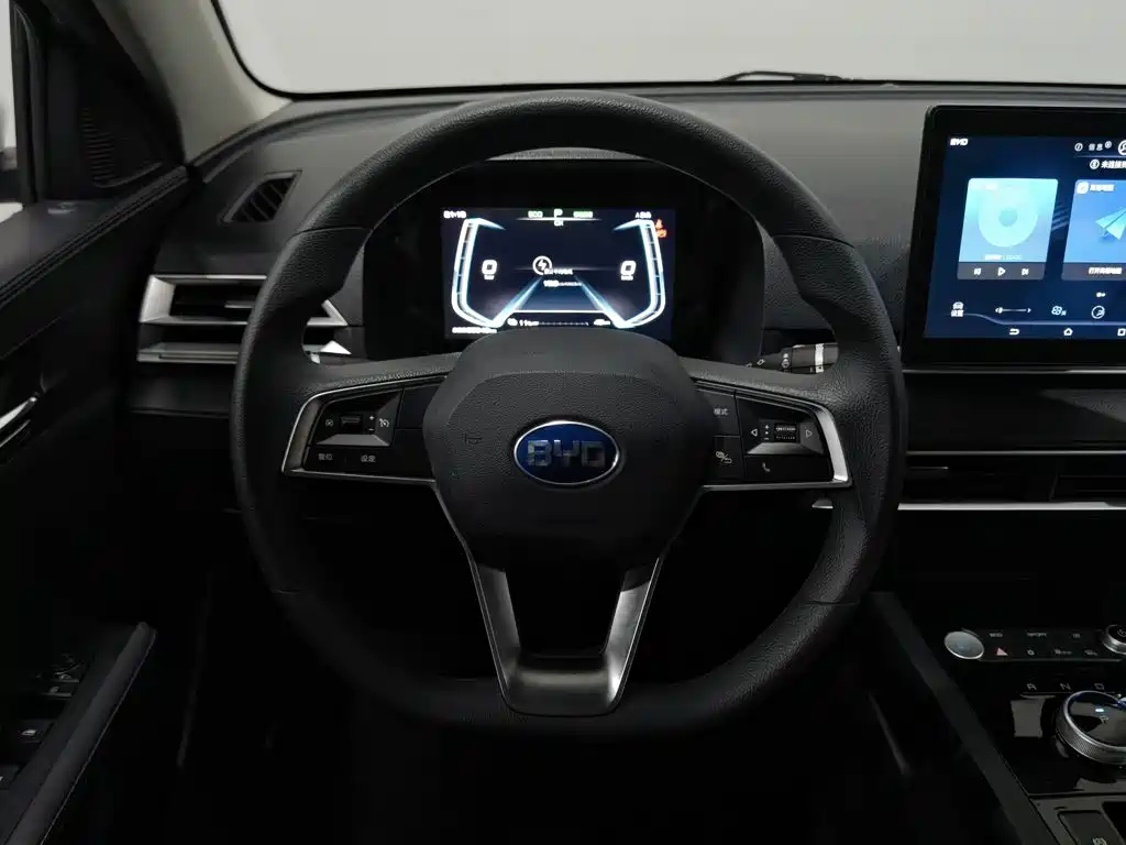BYD e2 — миниатюра 11