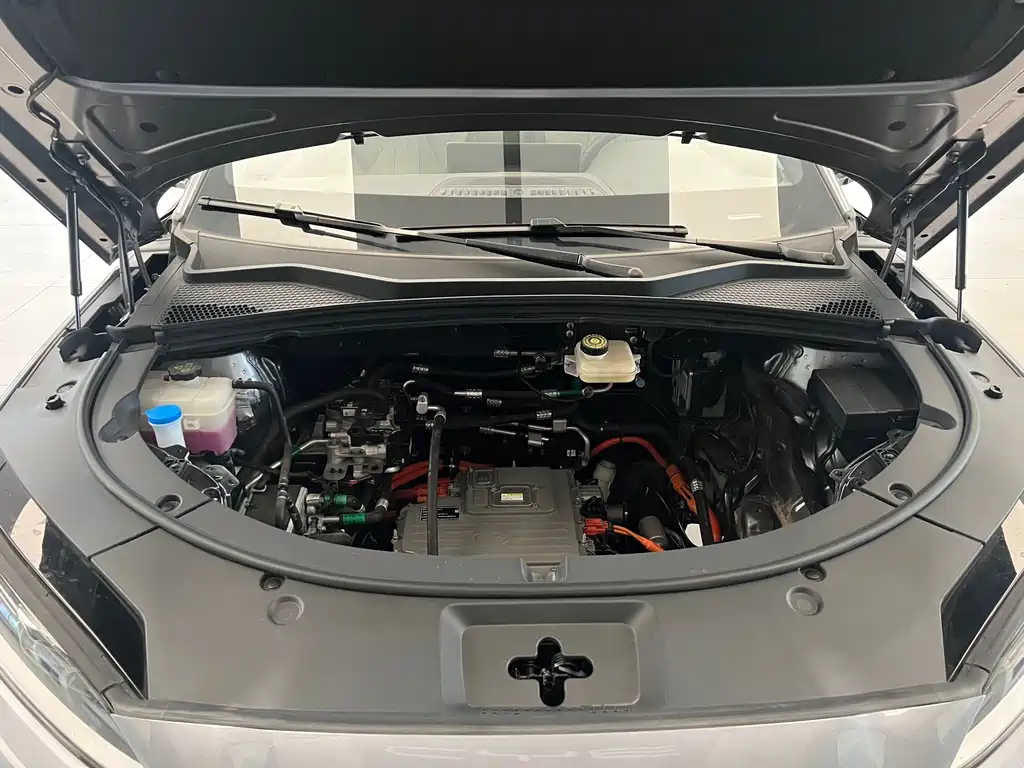 BYD SONGJIANG NEW ENERGY