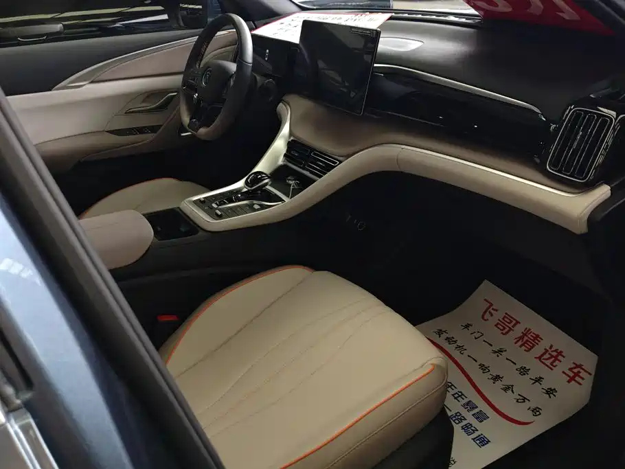 BYD Song Pro Pro 2024 DM-i 110KM