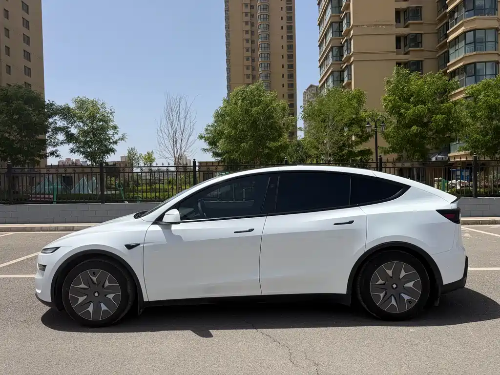 Tesla Model Y L — фотографии объявления, Фото 18