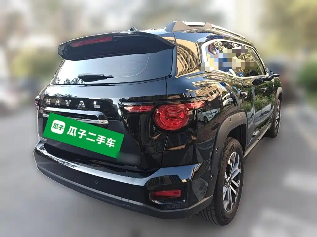 Haval Big Dog PLUS — миниатюра 6