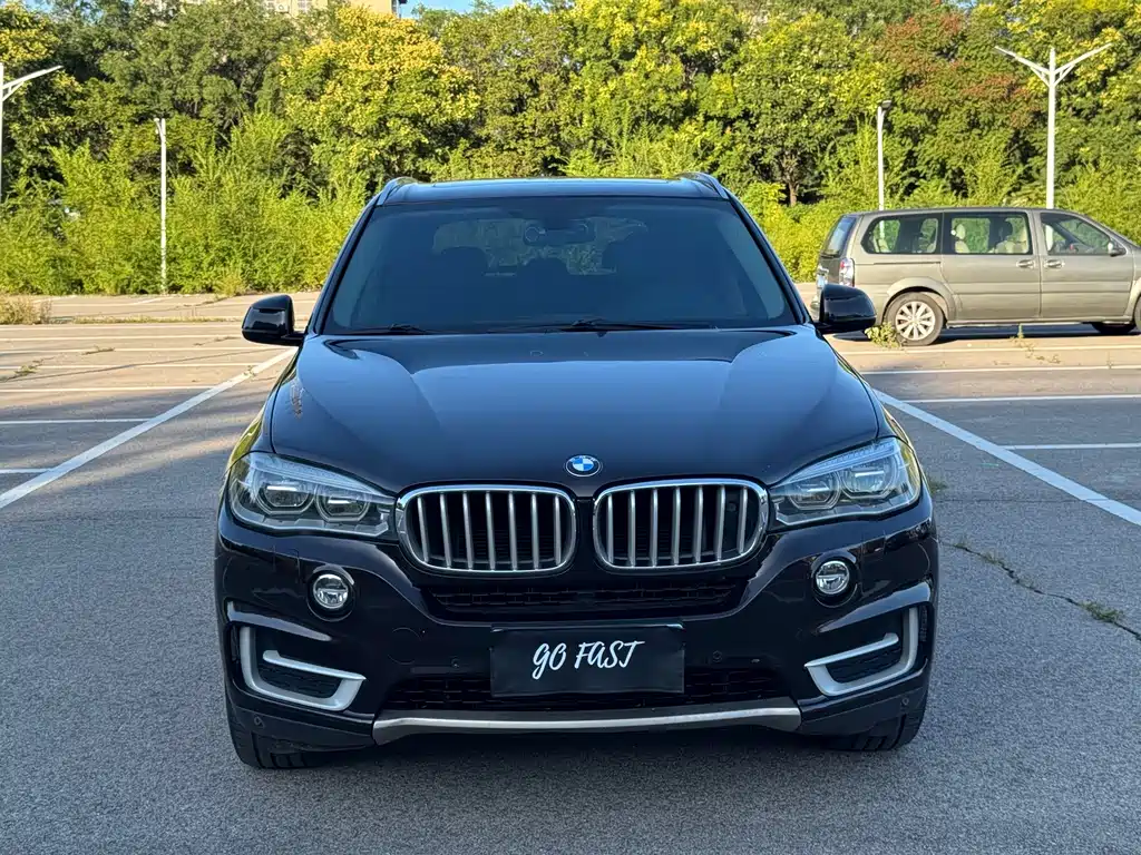 BMW X5 (Import) — миниатюра 2