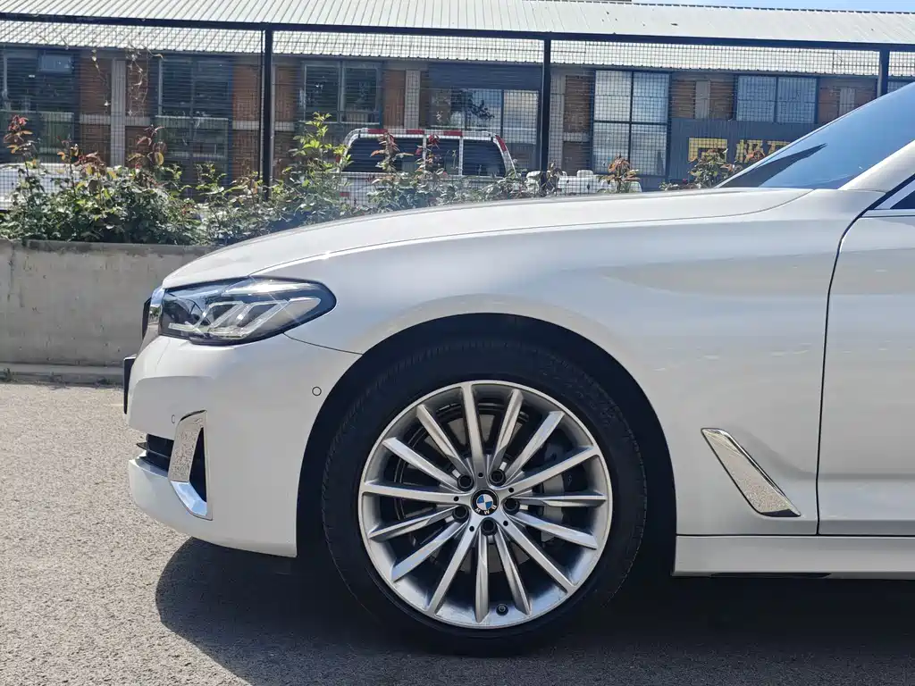 BMW 5 Series 5 2021 530Li Premium Luxury