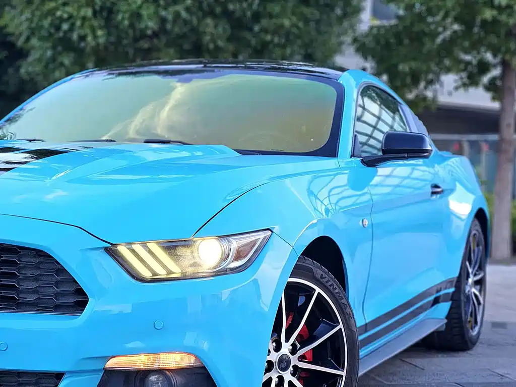 Ford Mustang — миниатюра 21