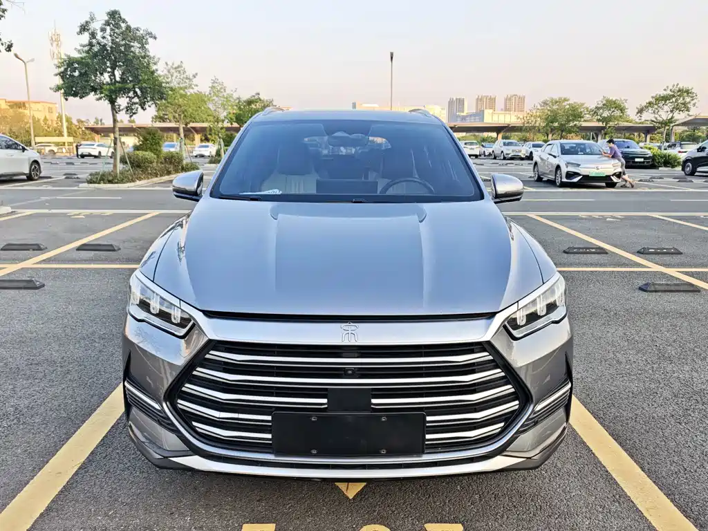 BYD Pro New Energy — миниатюра 2