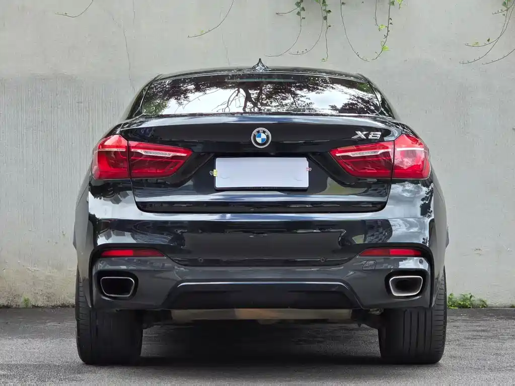 BMW X6 — миниатюра 8