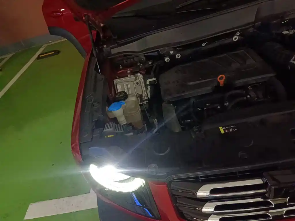 Haval Big Dog — миниатюра 22