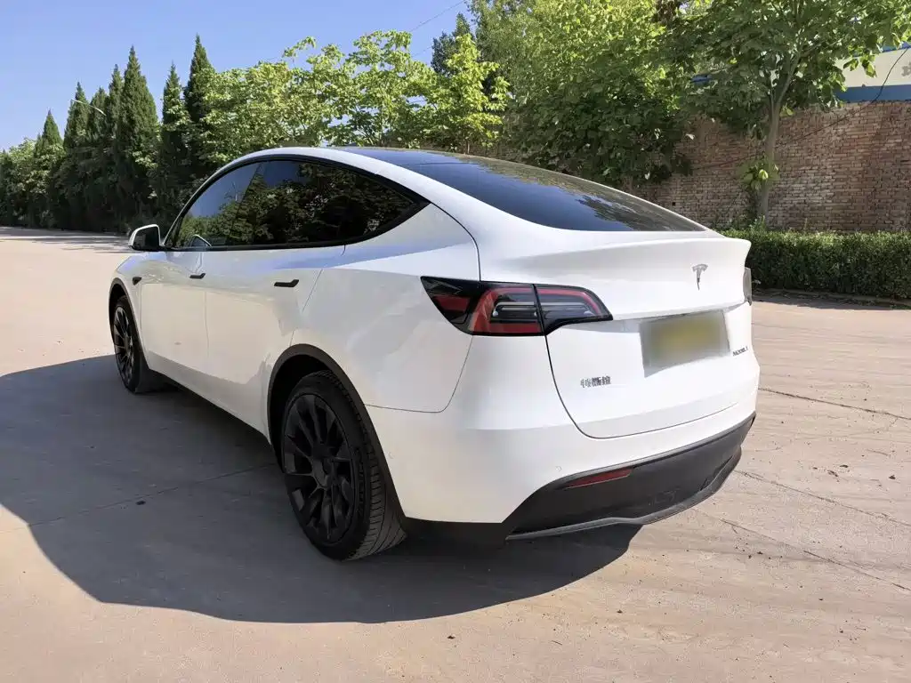 Tesla Model Y — миниатюра 5