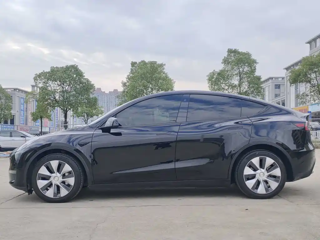 Tesla Model Y — миниатюра 7