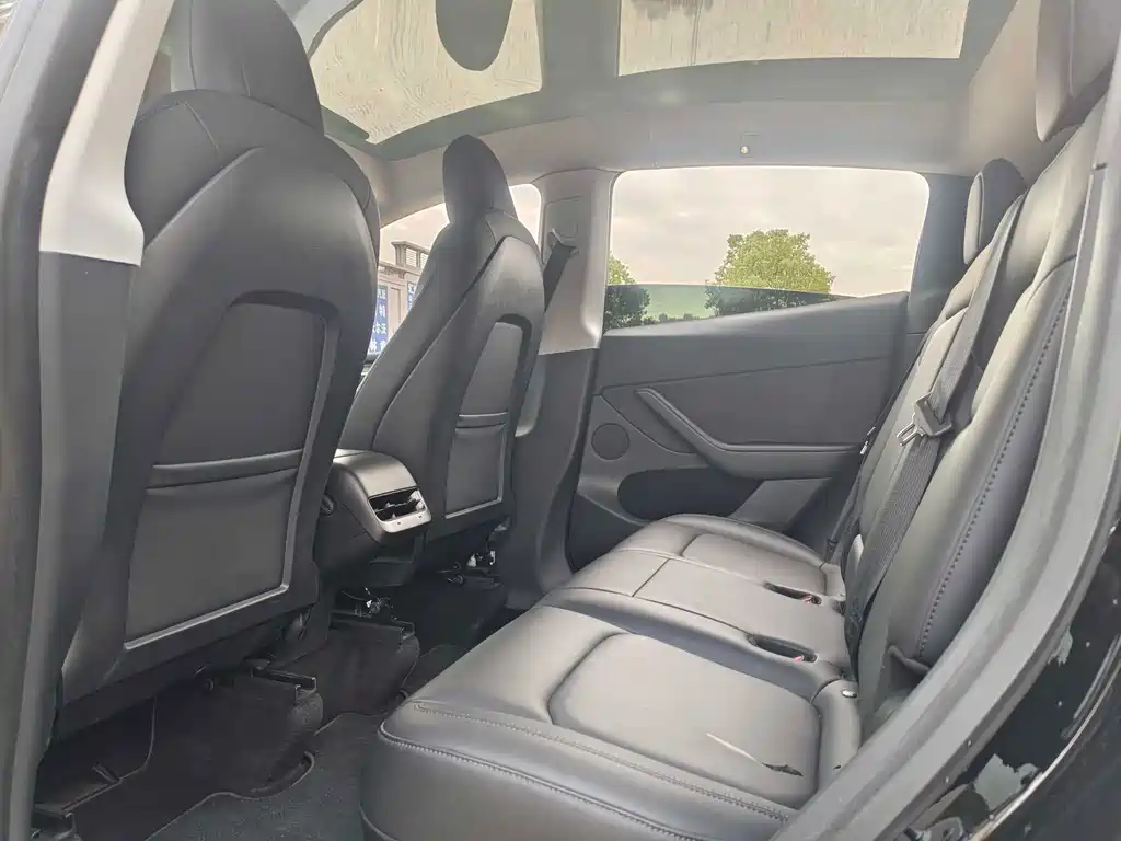 Tesla Model Y — миниатюра 21