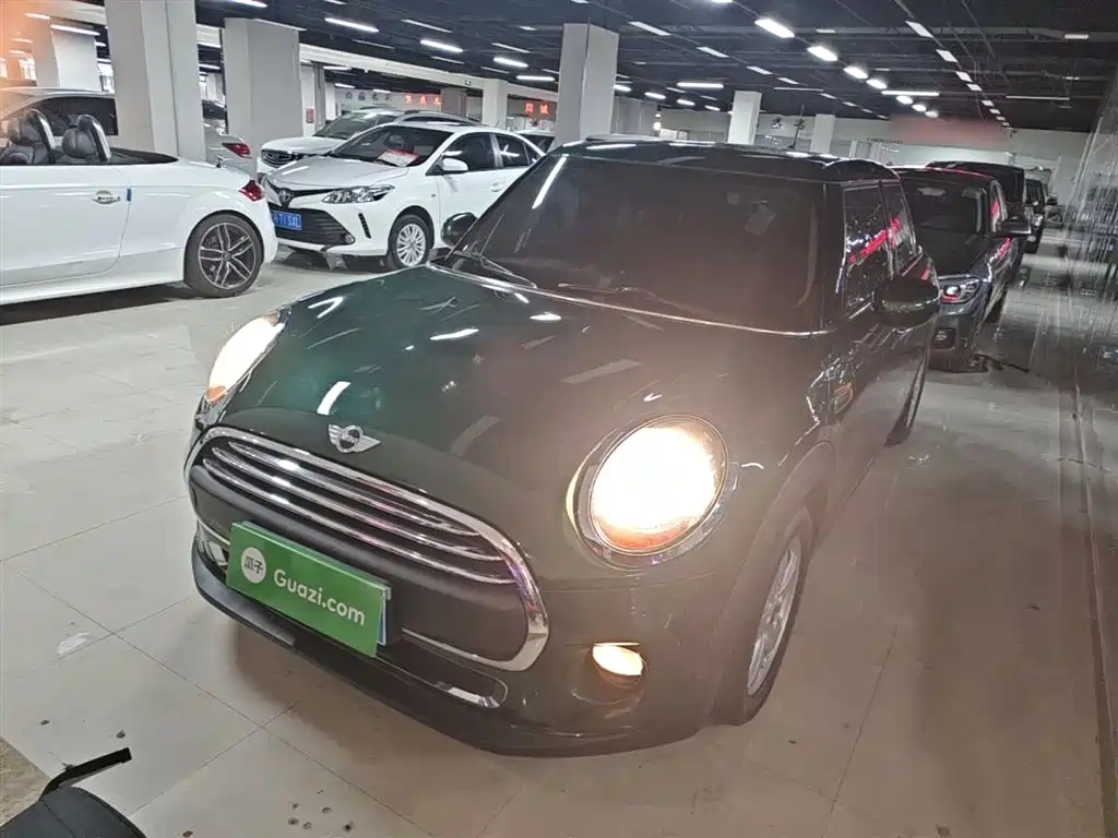 Mini Mini 2017