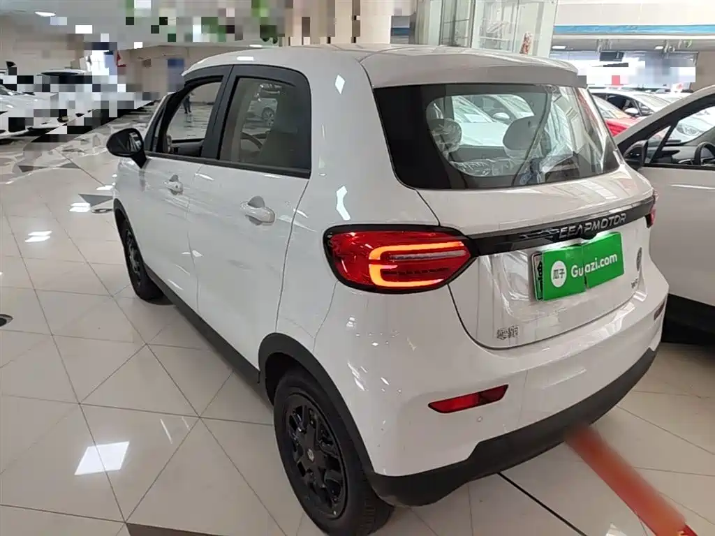 Leapmotor T03 2025 310
