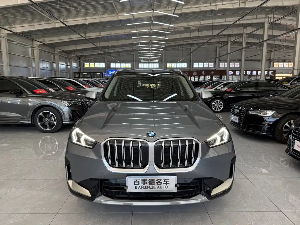 BMW X1 — миниатюра 2