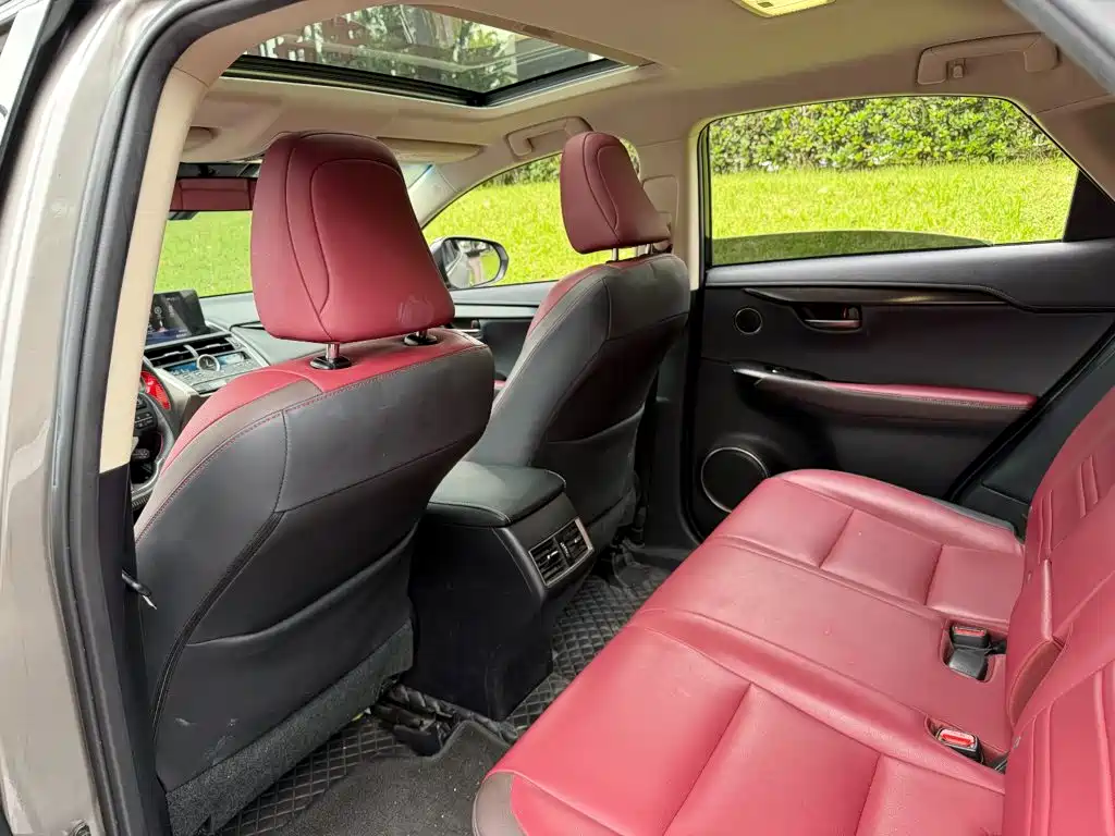 Lexus NX — миниатюра 11