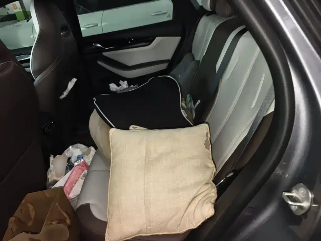 BYD Qin PLUS — миниатюра 13