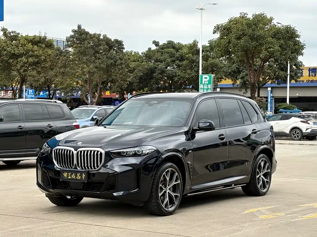 BMW X5 2024