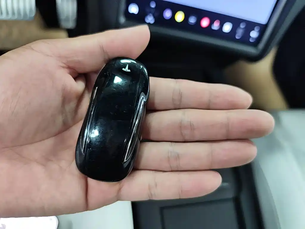 Tesla Model X 2019 Performance