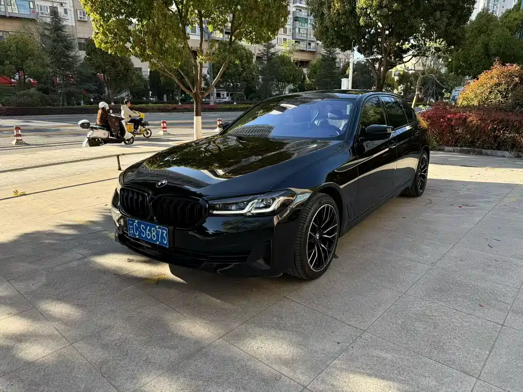 BMW 5 Series 2020