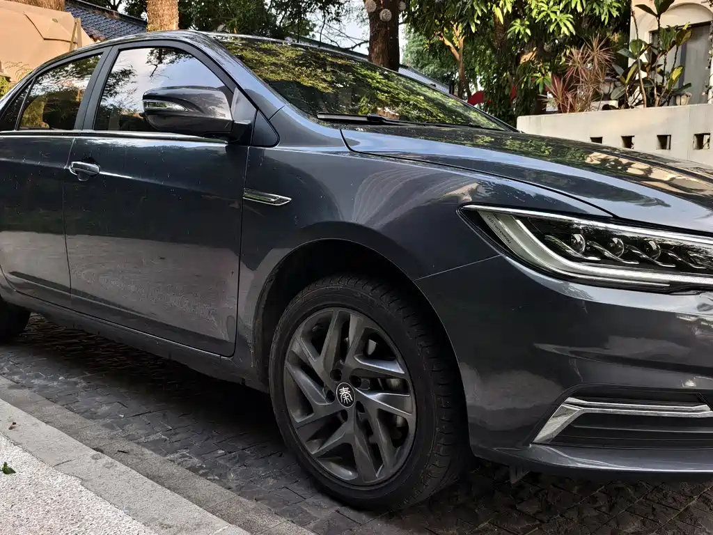 BYD Qin NEV 2019 Luxury