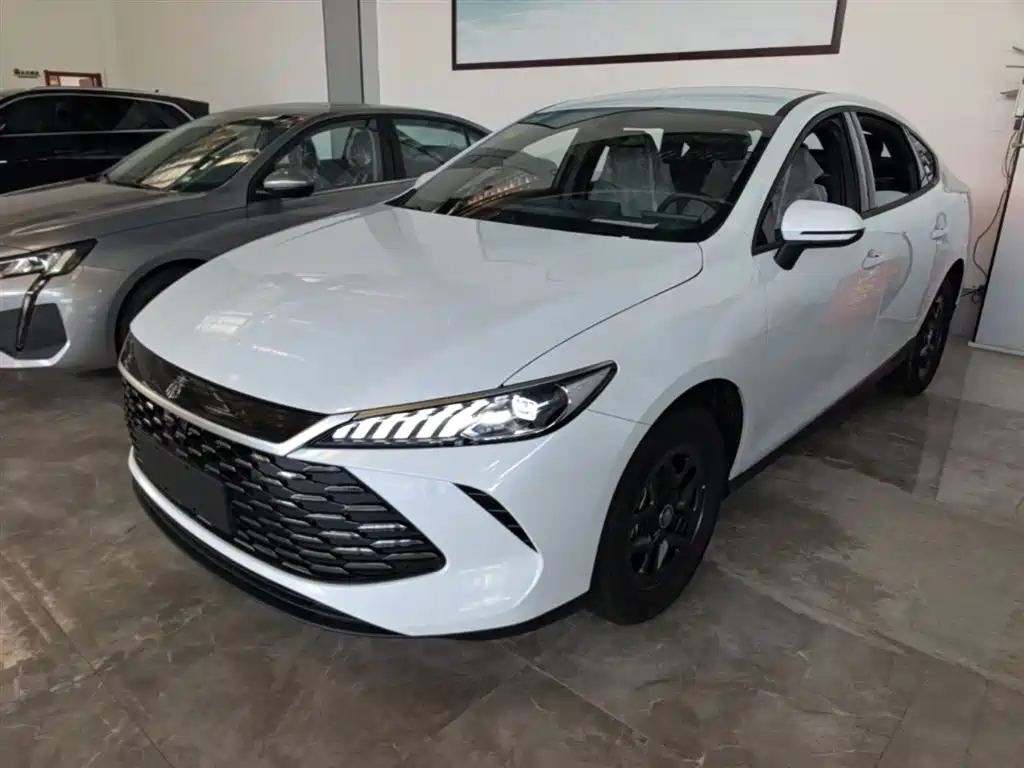 Byd Qin PLUS 2026