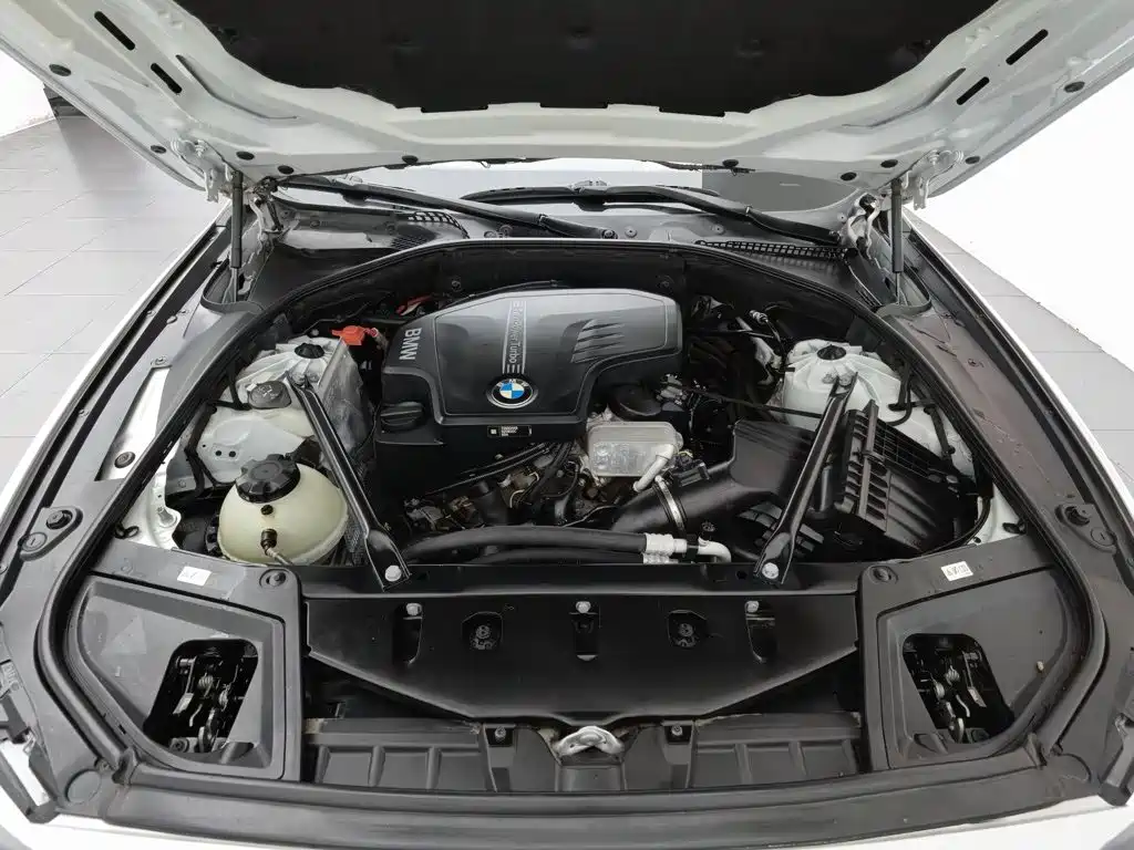 BMW 5 Series 5 2017 528Li xDrive Lead