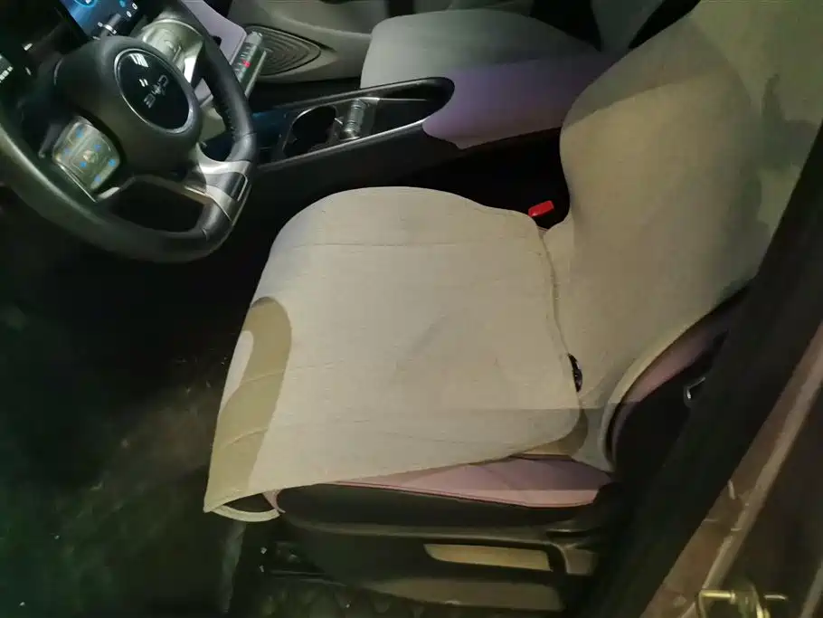 BYD Dolphin 2021 405km Freedom