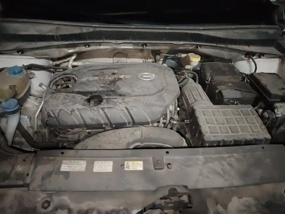 GAC GS5 2021 270T