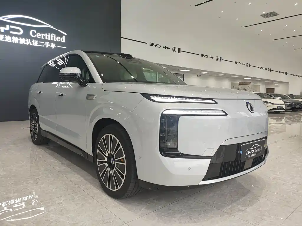 Denza Denza N8L — миниатюра 3