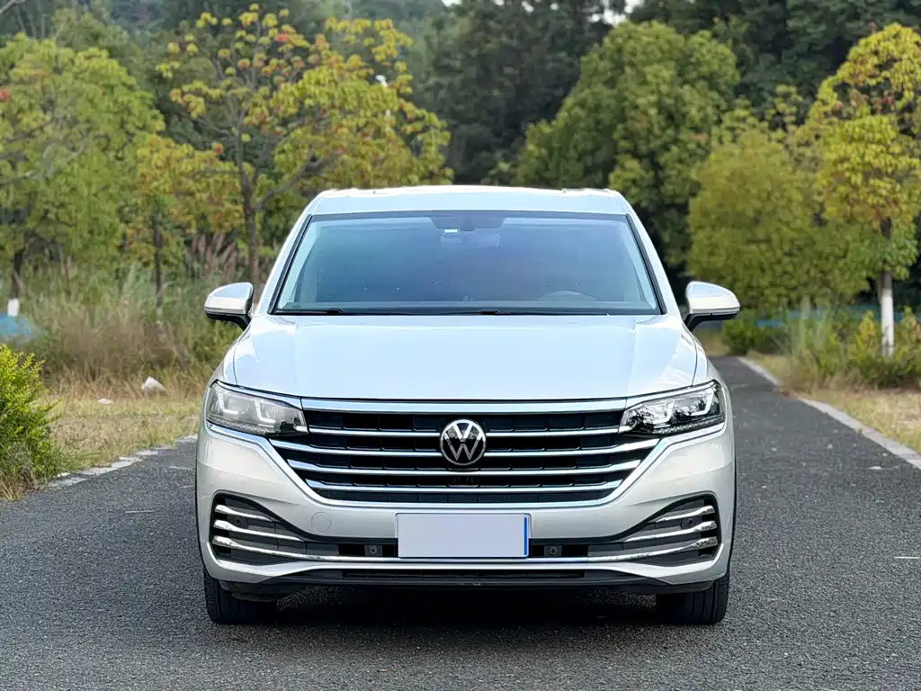 Volkswagen Viloran — миниатюра 2