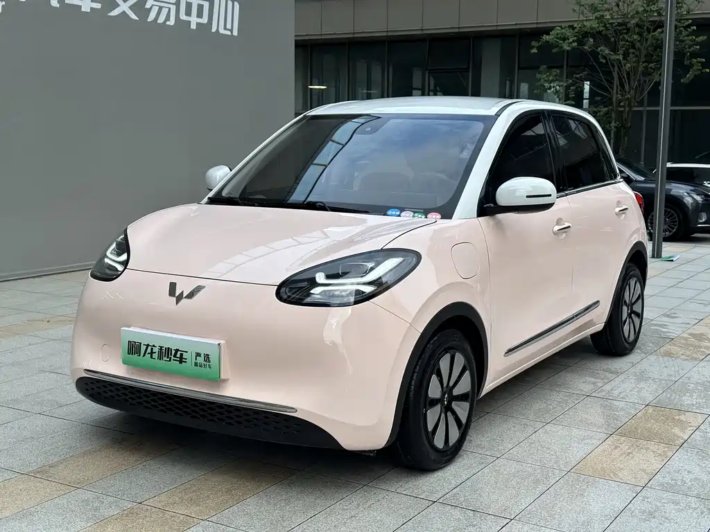 Wuling Binguo 2023 333km +