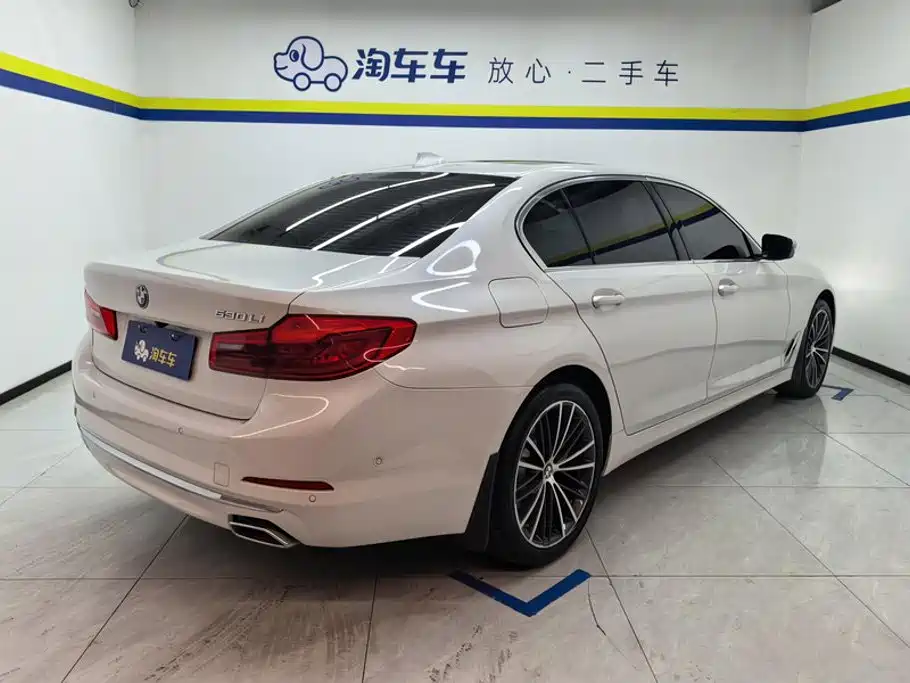 BMW 5 Series 5 2020 530Li Premium Luxury