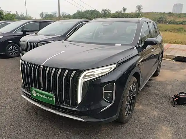 2024 Hongqi HS7