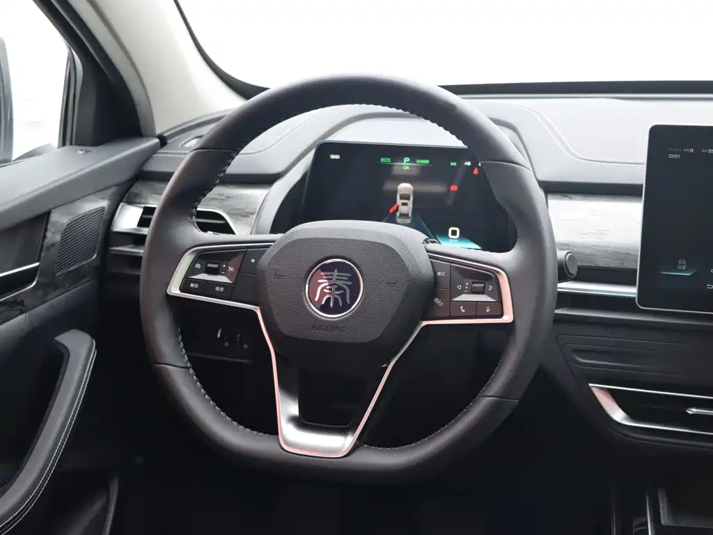 BYD Qin Pro NEV — миниатюра 16
