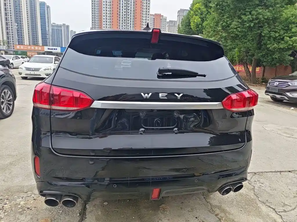 Wey Wey VV6 — миниатюра 6