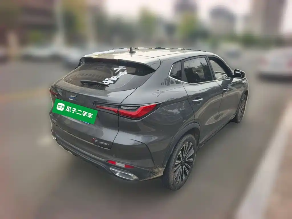 Oshan Oushang X5 — миниатюра 4