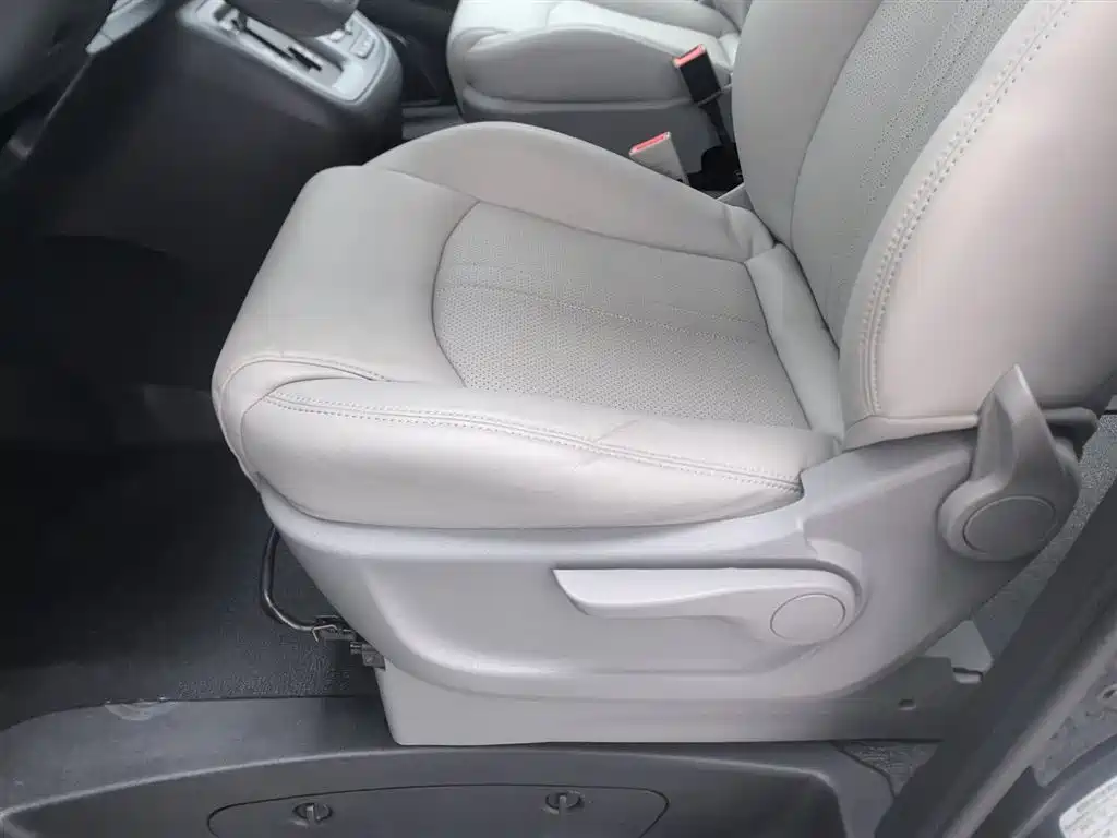 SAIC MAXUS CHASE G10